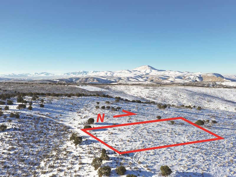 Trees and Views : Elko : Elko County : Nevada