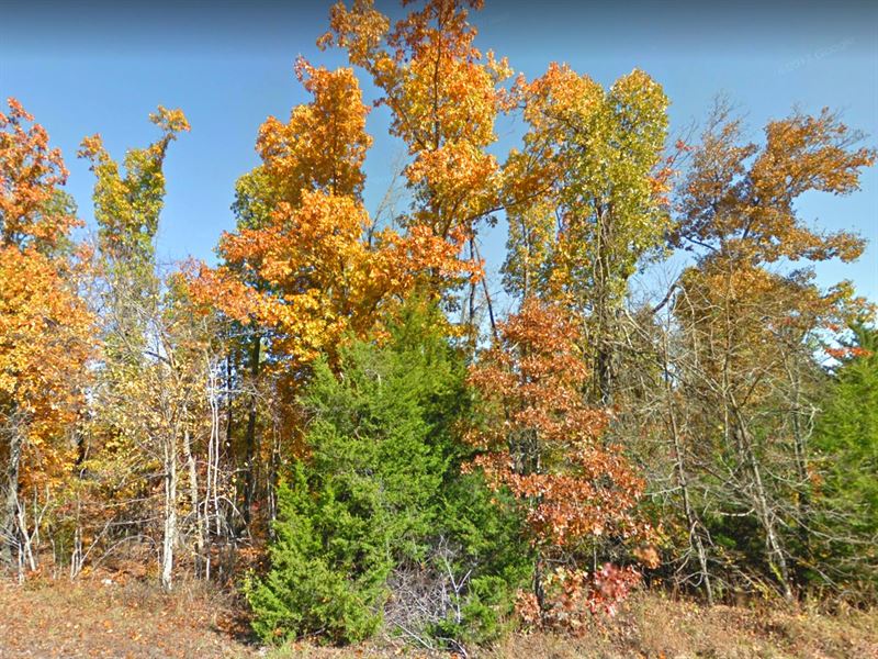 Beautiful Infill Lot with Power : Horseshoe Bend : Izard County : Arkansas