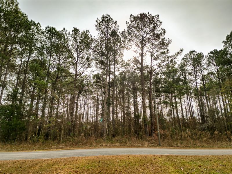 2 Adjacent Lots, Sfr and MH : Trenton : Jones County : North Carolina