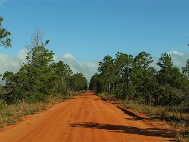 NO Down Payment, $189 Month : Inverness : Citrus County : Florida