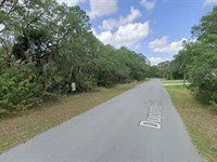 Port Charlotte FL, Gulf of Mexico : Port Charlotte : Charlotte County : Florida