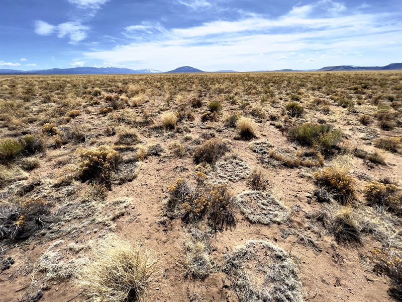 $122/Mo, 1.5 Miles From Rio Grande : San Acacio : Costilla County : Colorado
