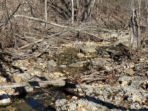 Owner Financed Acreage in MO : Mansfield : Wright County : Missouri