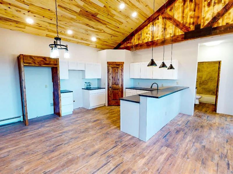 Cedaredge Cabin : Cedaredge : Delta County : Colorado