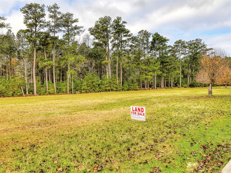 Near Adam's Creek, Sfr : Havelock : Craven County : North Carolina