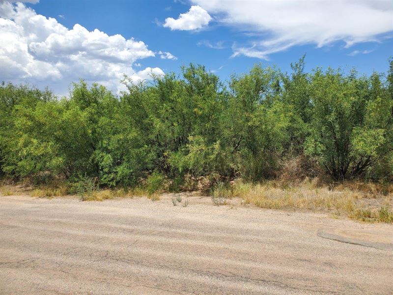 Willow Lakes Lot in Benson, AZ : Benson : Cochise County : Arizona
