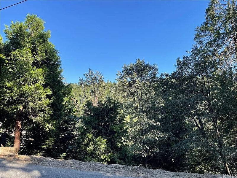 Amazing Lot in Lake Arrowhead : Lake Arrowhead : San Bernardino County : California