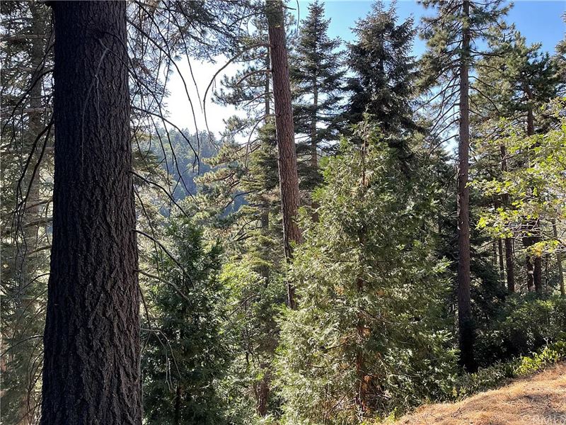 Best View in Arrowhead : Lake Arrowhead : San Bernardino County : California