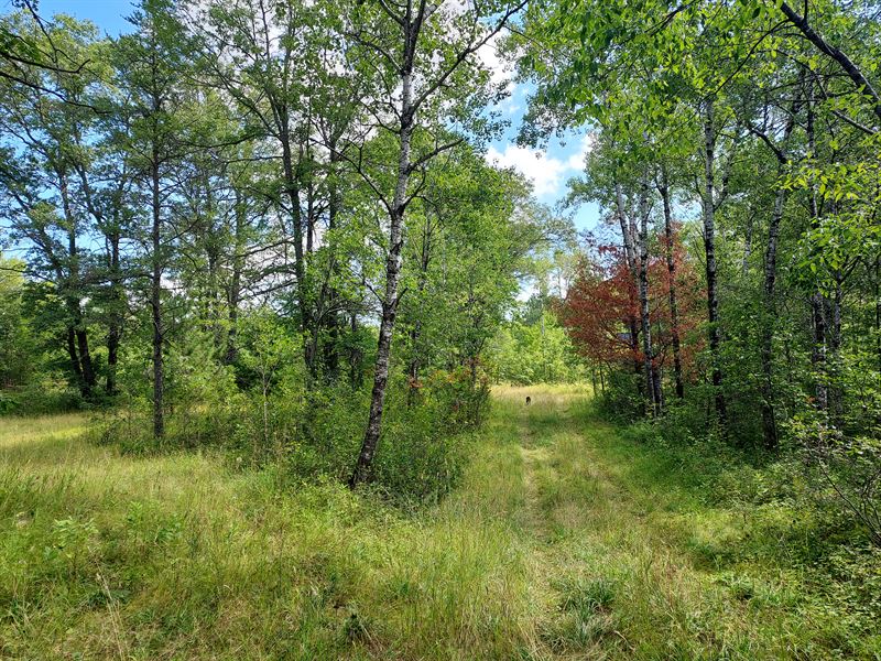 8 Acres Near The Menominee River : Pembine : Marinette County : Wisconsin