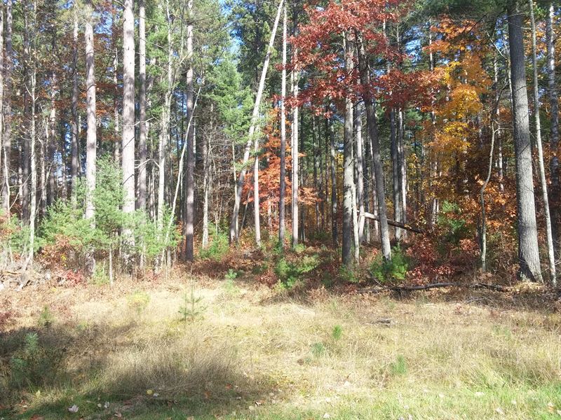 3 Acres for Building & Camping : Rhinelander : Oneida County : Wisconsin