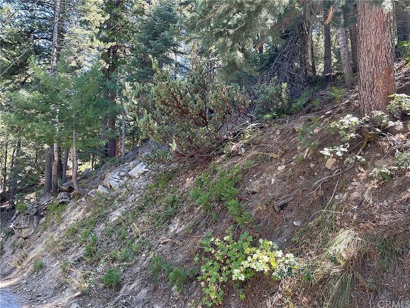 Amazing Lot in Twin Peaks : Twin Peaks : San Bernardino County : California