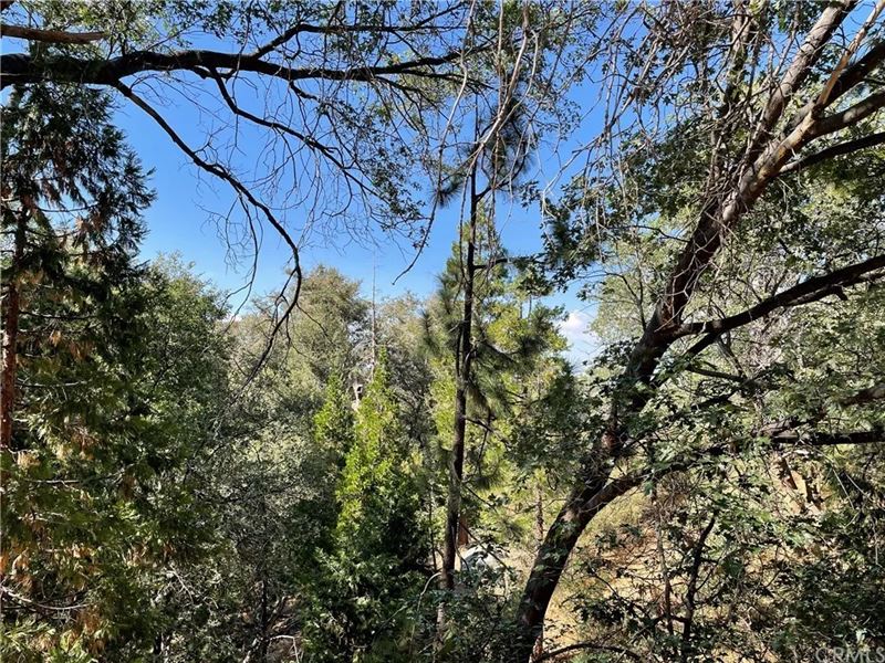 Beautiful Lot with Great Views : Lake Arrowhead : San Bernardino County : California