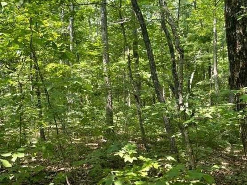5.81 Acres Beautiful Wooded Prope : Altamont : Grundy County : Tennessee