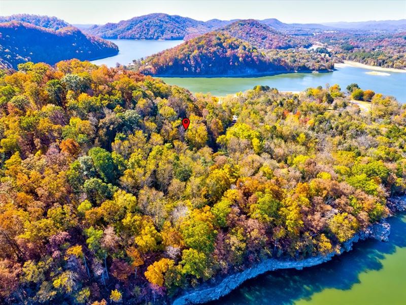 3 Adjoining Lots in Walnut Bend : Whitesburg : Hawkins County : Tennessee