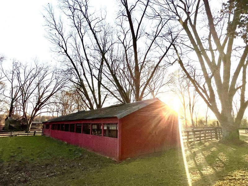 10.57 Acre Homestead in Perry Count : Marion : Perry County : Alabama