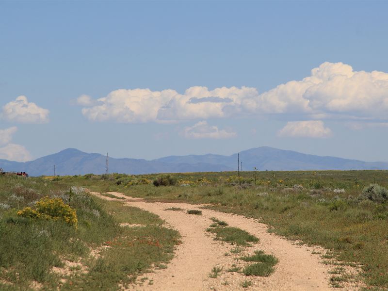 Off-Grid Paradise in CO : Mesita : Costilla County : Colorado