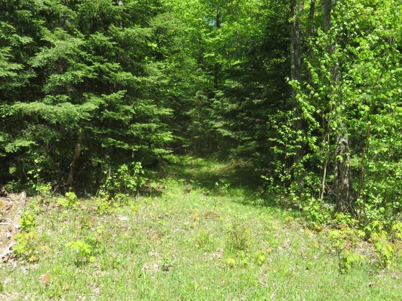 Presque Isle Parcel : Presque Isle : Vilas County : Wisconsin