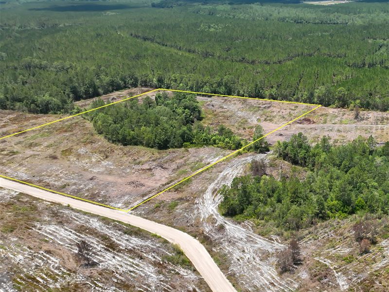 15 Acre Homesite : Nahunta : Brantley County : Georgia