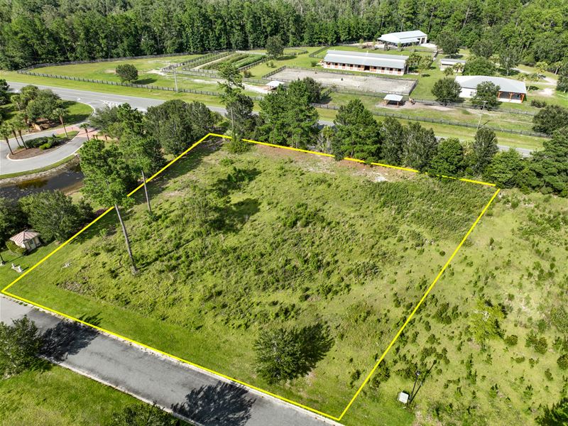 Lots 42 & 43, Big Horse Subdivision : Waynesville : Brantley County : Georgia
