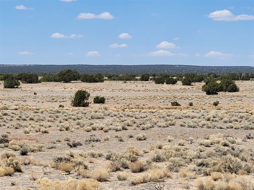 3.75 Sprawling Acres of Paradise : Saint Johns : Apache County : Arizona