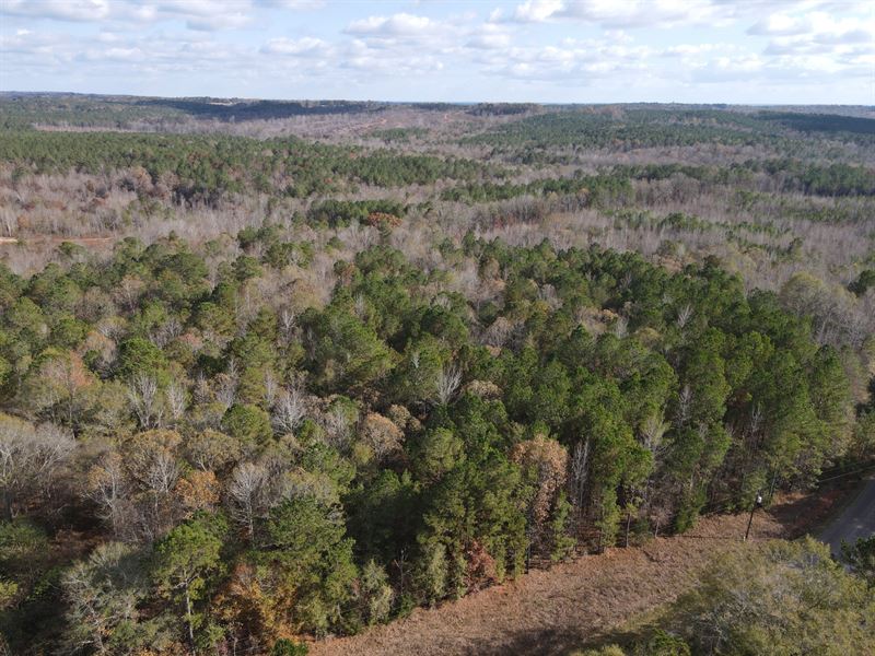 16 Acres Wadley, AL : Wadley : Randolph County : Alabama