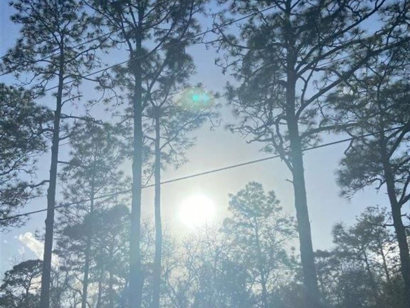 Make Your Florida Dream a Reality : Dunnellon : Marion County : Florida