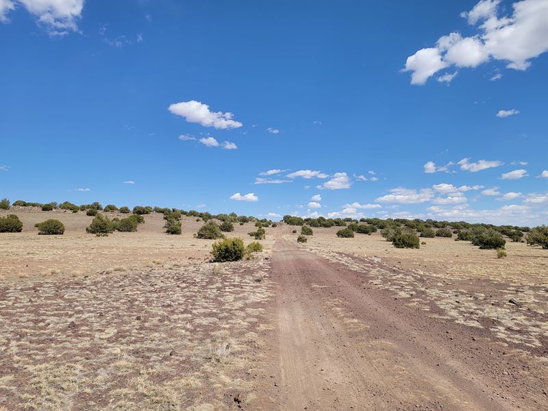 Rare Find in Show Low Pines, AZ : Concho : Apache County : Arizona