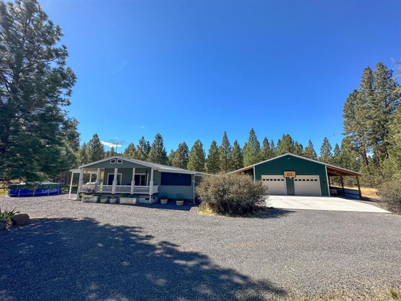 Looking for Perfection : Keno : Klamath County : Oregon