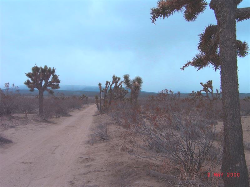 Southern Ca, Los Angeles County : Llano : Los Angeles County : California