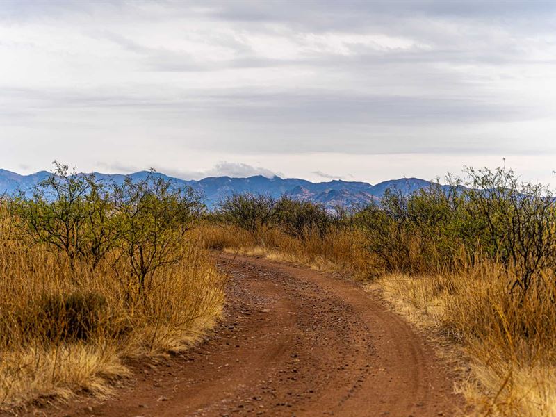 20 Acres with a View : Sunizona : Cochise County : Arizona