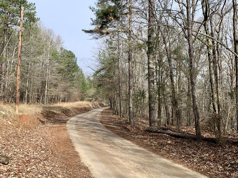 Wire Bridge Road Tract : Arnoldsville : Oglethorpe County : Georgia