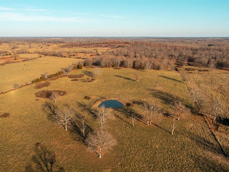 Goose Pond Farm : Summersville : Texas County : Missouri