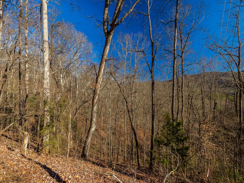 Live in The Mountains, Sfr : Franklin : Macon County : North Carolina