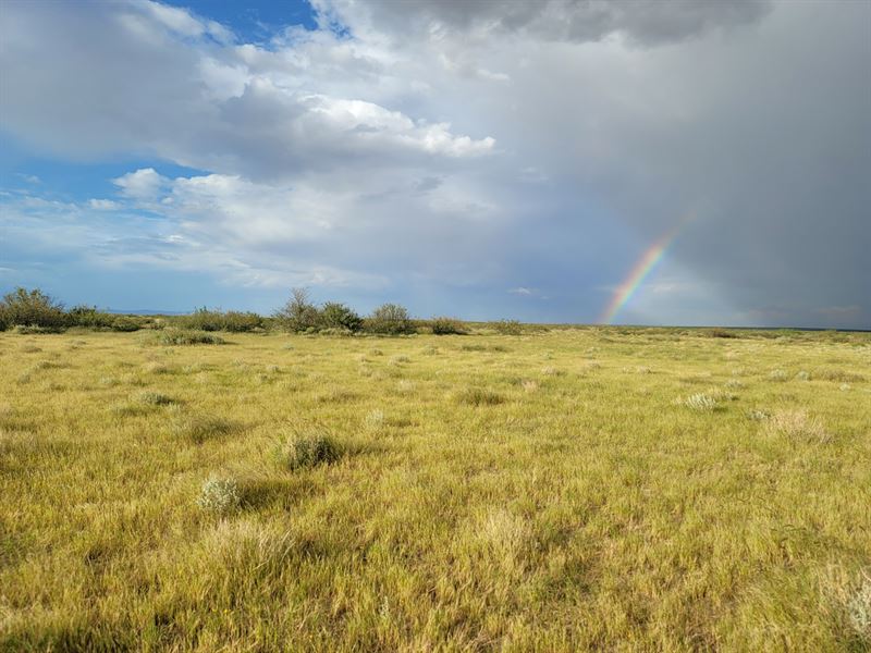 1 Acre Peace of Mind Only $99/Mo : Deming : Luna County : New Mexico
