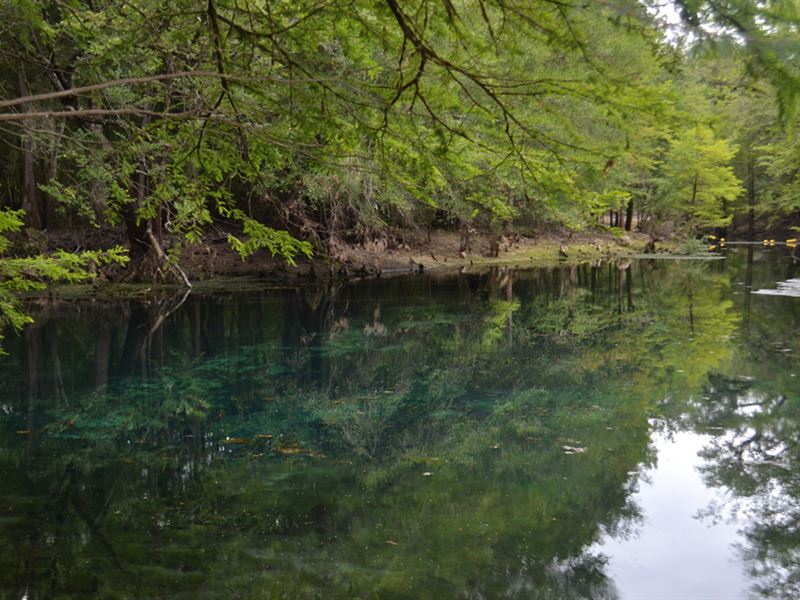 Sun Springs Waterfront Acreage : Bell : Gilchrist County : Florida