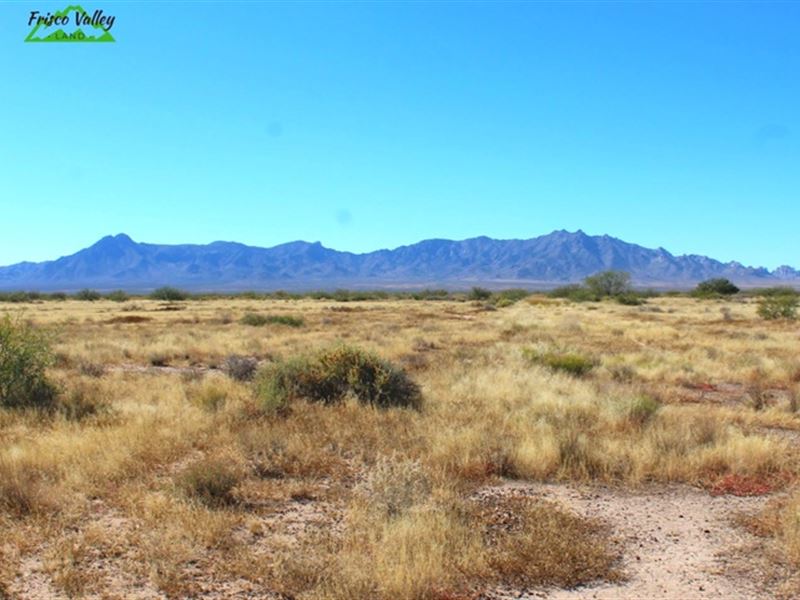 Priceless Mountain Views, Wow : Deming : Luna County : New Mexico