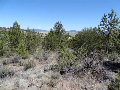 Skip & a Jump to The Sprague River : Chiloquin : Klamath County : Oregon