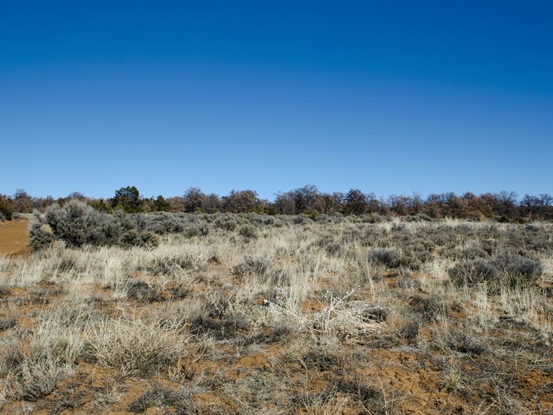 Own This Great NM Property Today : Grants : Cibola County : New Mexico