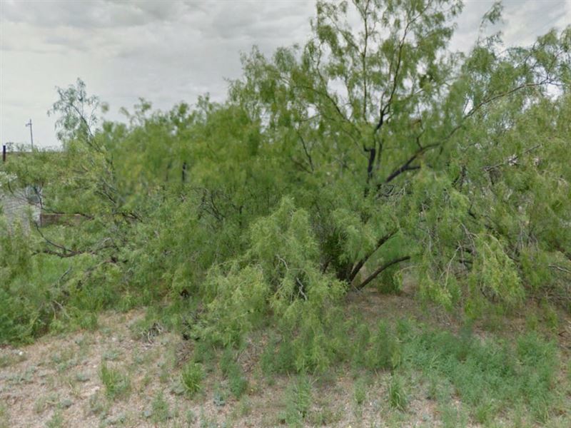 .51 Acre in Fisher County, TX : Rotan : Fisher County : Texas