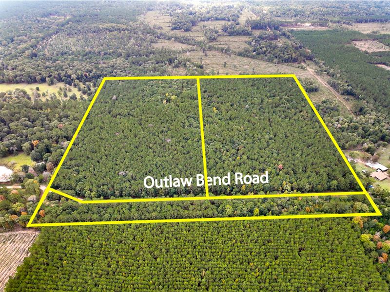 4 Acres, T-1 Outlaw Bend : Livingston : Polk County : Texas