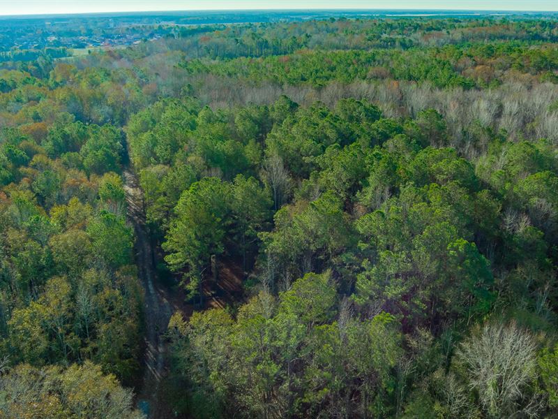 Red Lane Road Tract : Dalzell : Sumter County : South Carolina