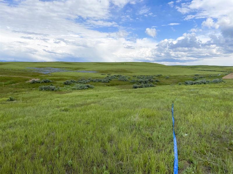 Heinrich Rd 20 Acres : Midvale : Washington County : Idaho