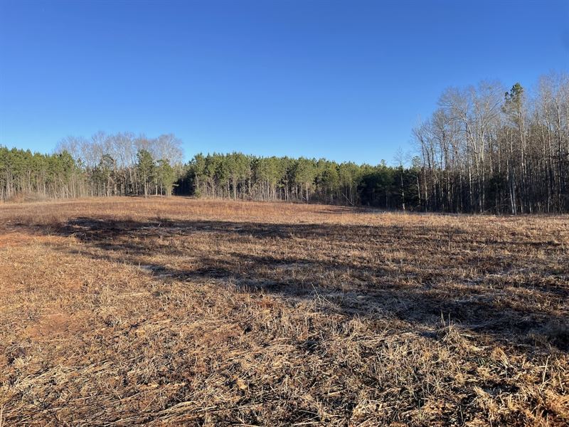 Lot 3 Vineyard Creek Estates : Auburn : Lee County : Alabama