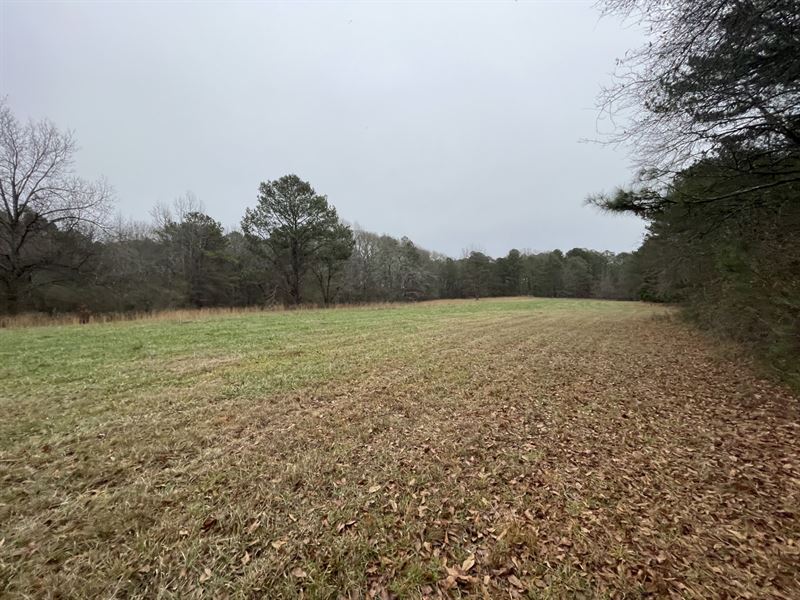 Brooks 15 West Tract : Brooks : Fayette County : Georgia
