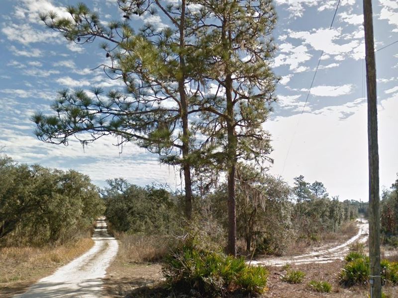 .13 Acre Lot in Archer : Archer : Levy County : Florida