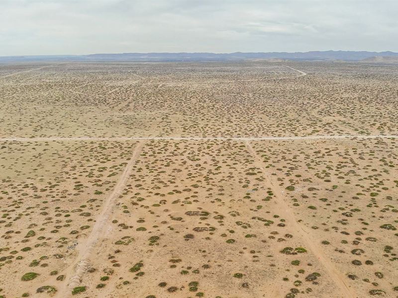 43K Sqft in El Paso County, TX : El Paso : El Paso County : Texas