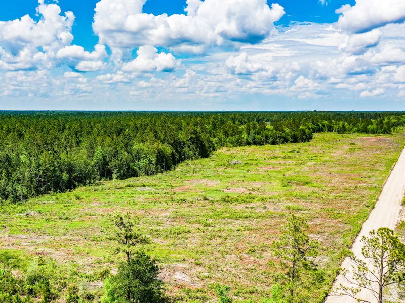 15 Acres, Airport Rd : Nahunta : Brantley County : Georgia