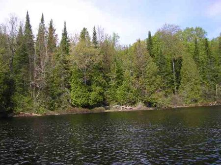 Lot 7-4 Copper Rd : Michigamme : Marquette County : Michigan