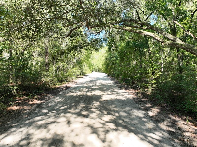 Dogwood Circle 1.77 Ac Lot : Nahunta : Brantley County : Georgia