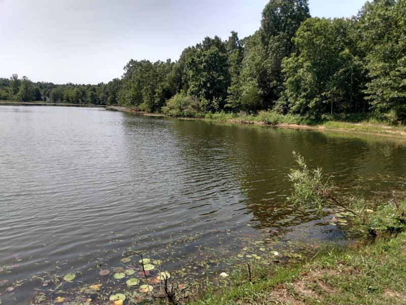 2 Lots, On North Lake, Horseshoe Be : Horseshoe Bend : Fulton County : Arkansas